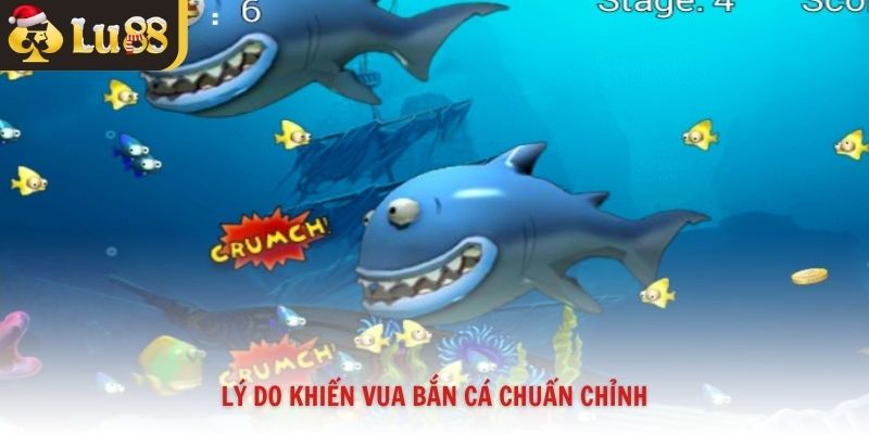 Lý do khiến vua bắn cá chuẩn chỉnh